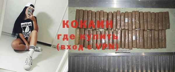 СК Алексин