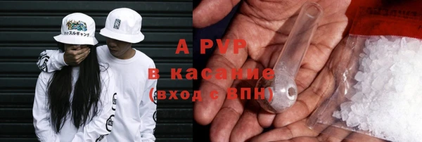 СК Алексин