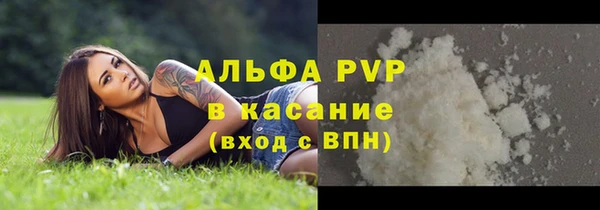 СК Алексин