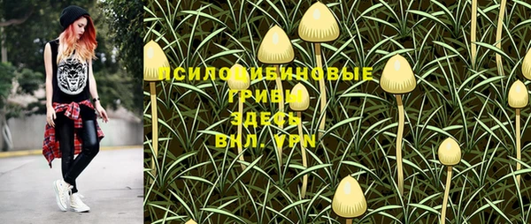 СК Алексин