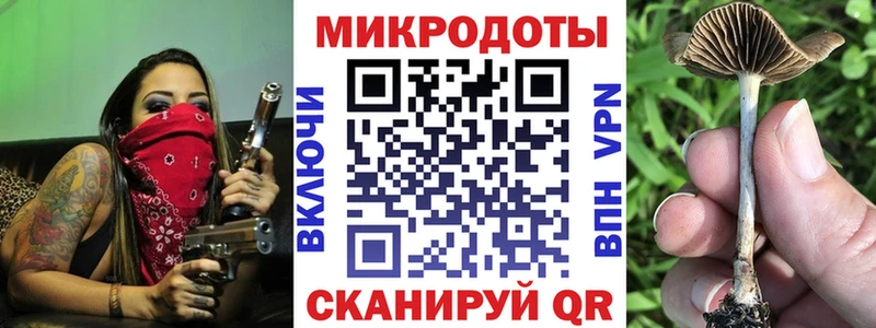 мега маркетплейс  Зуевка  Галлюциногенные грибы Psilocybe 
